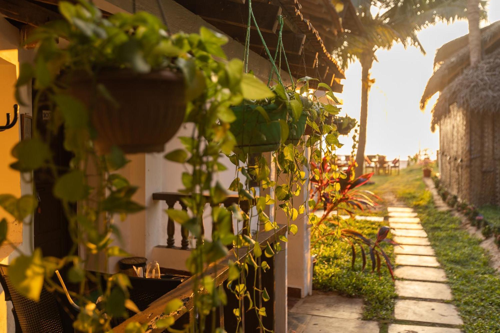 Forget Me Not Resort Agonda Exteriör bild